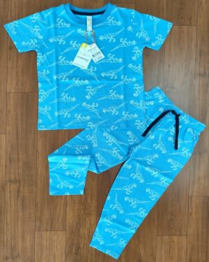 White Dinosaur Print Sky Blue Kids Casual Co-ord Pant Set