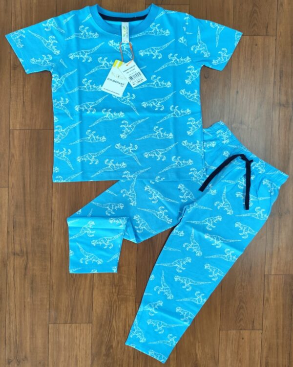 White Dinosaur Print Sky Blue Kids Casual Co-ord Pant Set